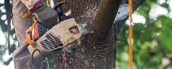 Best Pest Control for Lawns  in Westport, WA