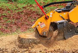 Best Emergency Tree Removal  in Westport, WA